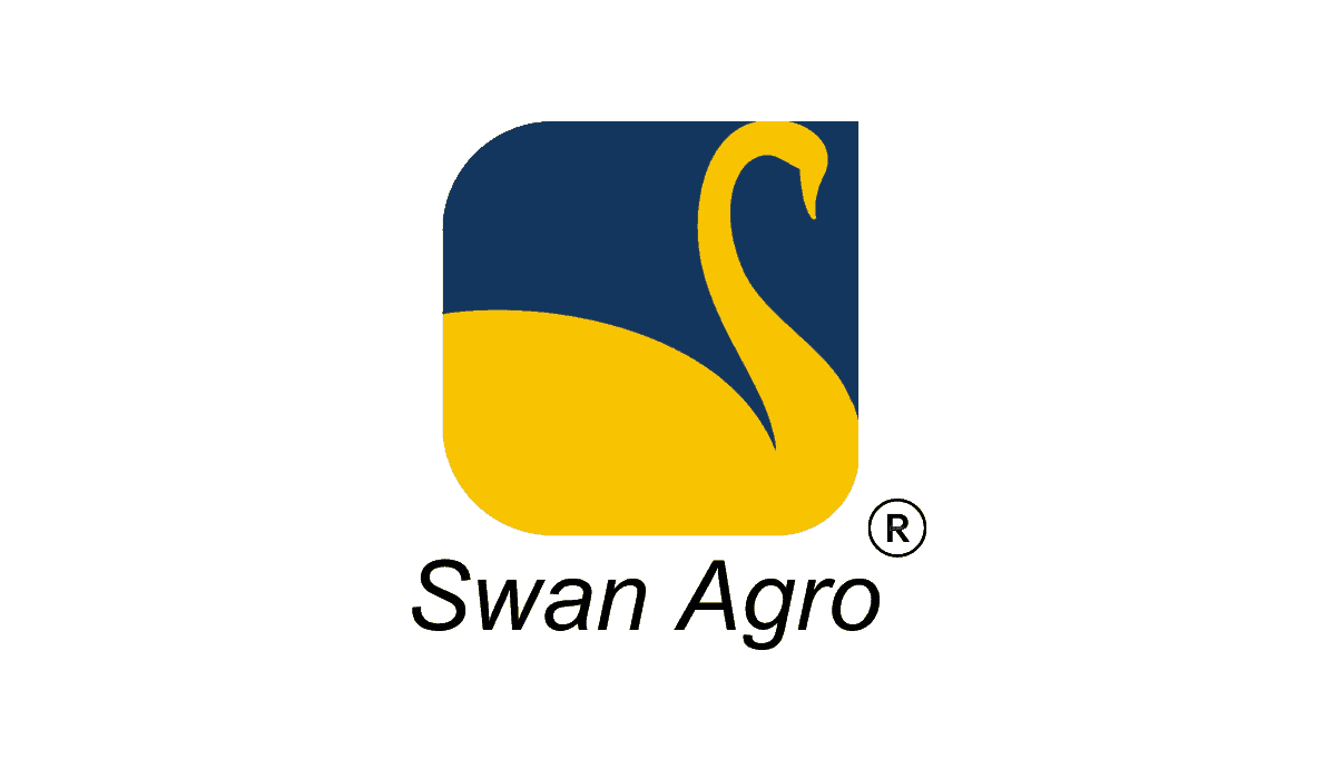 new swan